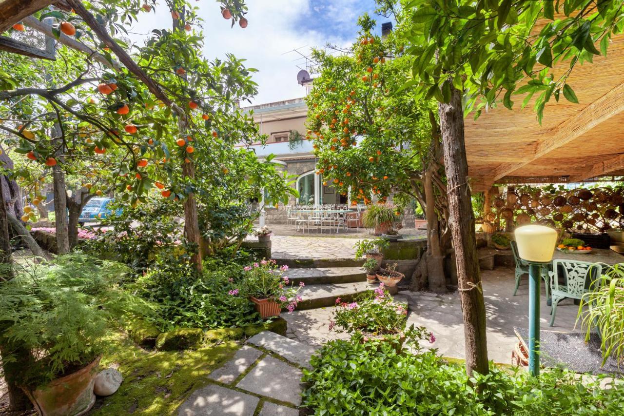 Villa Maresca B&B Piano di Sorrento Buitenkant foto
