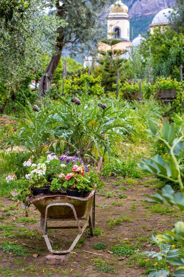 Villa Maresca B&B Piano di Sorrento Buitenkant foto