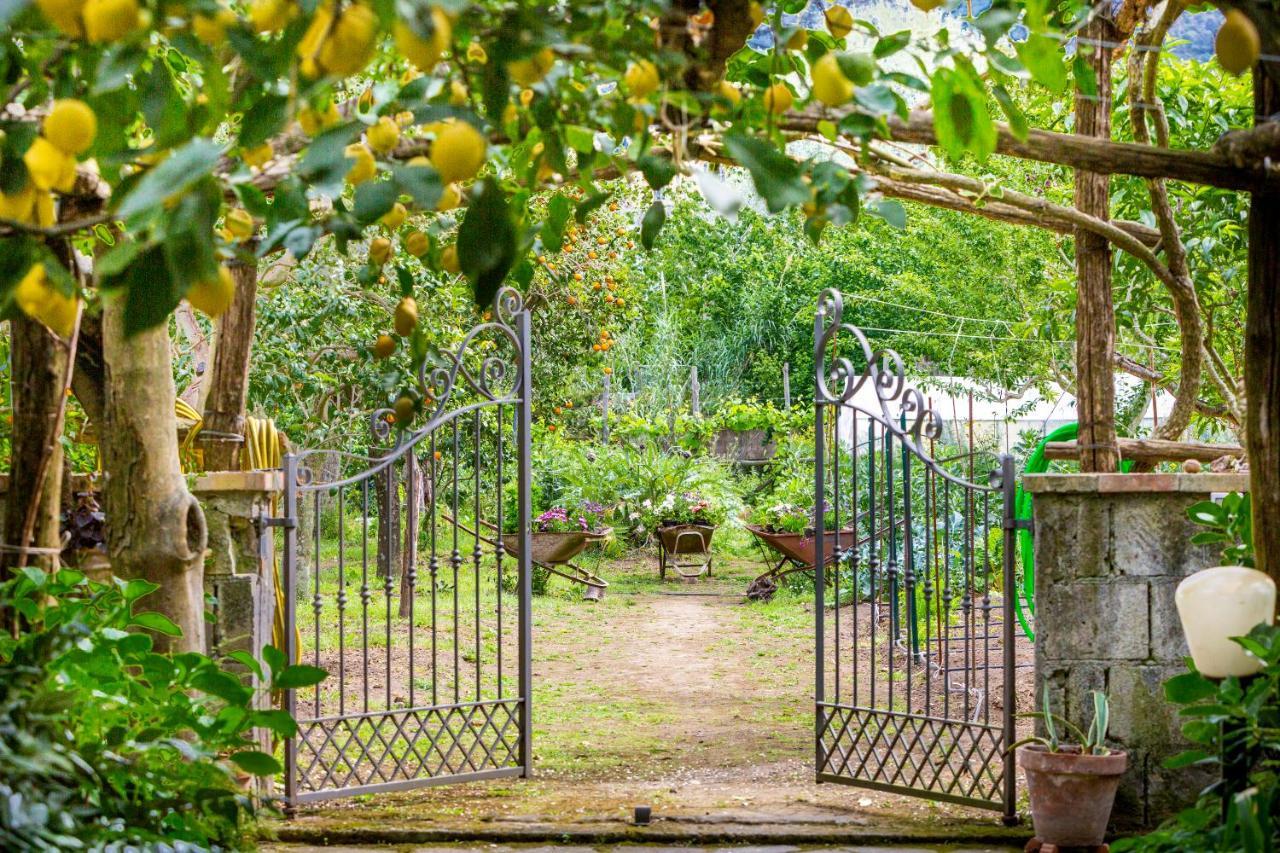 Villa Maresca B&B Piano di Sorrento Buitenkant foto