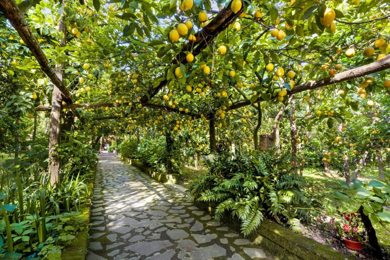 Villa Maresca B&B Piano di Sorrento Buitenkant foto