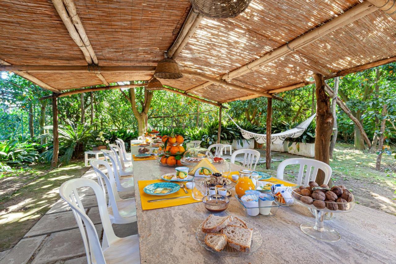 Villa Maresca B&B Piano di Sorrento Buitenkant foto