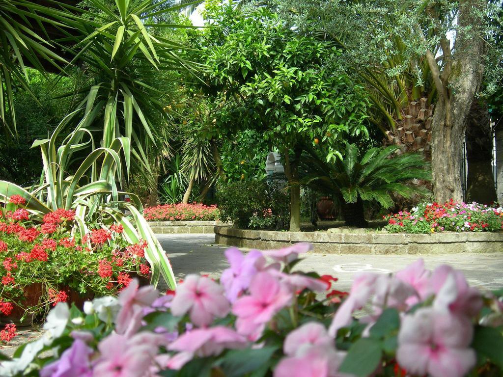 Villa Maresca B&B Piano di Sorrento Buitenkant foto