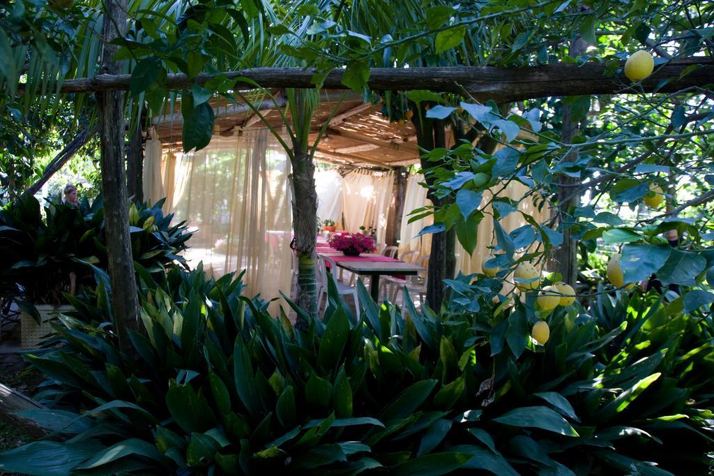 Villa Maresca B&B Piano di Sorrento Buitenkant foto